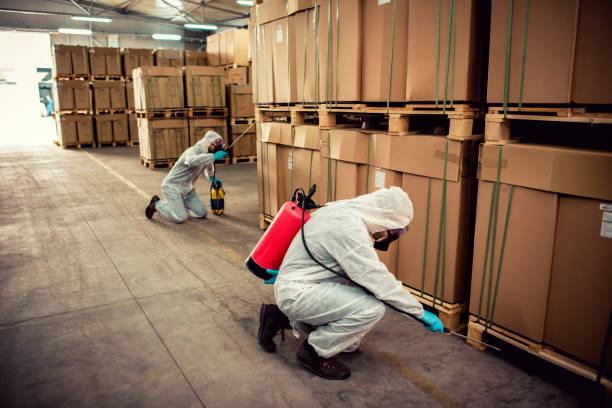 Best Pest Removal Services  in Peru, IL