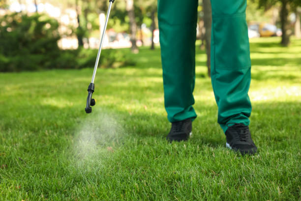 Best Local Pest Control Services  in Peru, IL