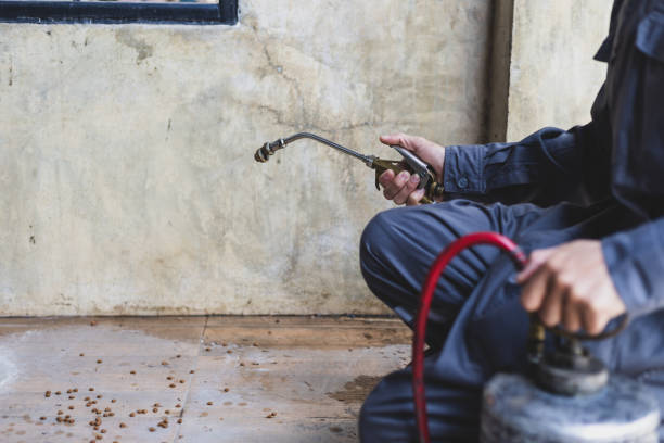 Best Pest Prevention Services  in Peru, IL