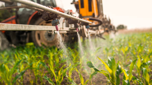 Best Affordable Exterminators  in Peru, IL