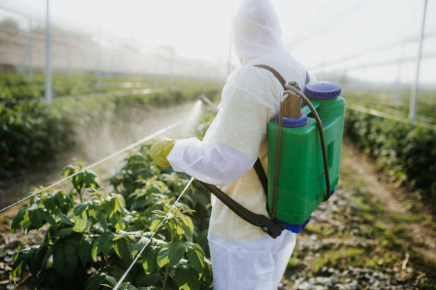 Best Insect Control  in Peru, IL